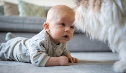 veilig omgaan met dieren baby kat